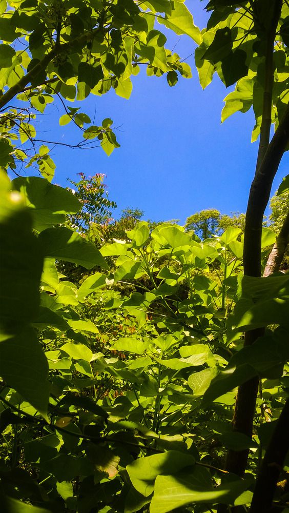 Photograph by sumit sitole