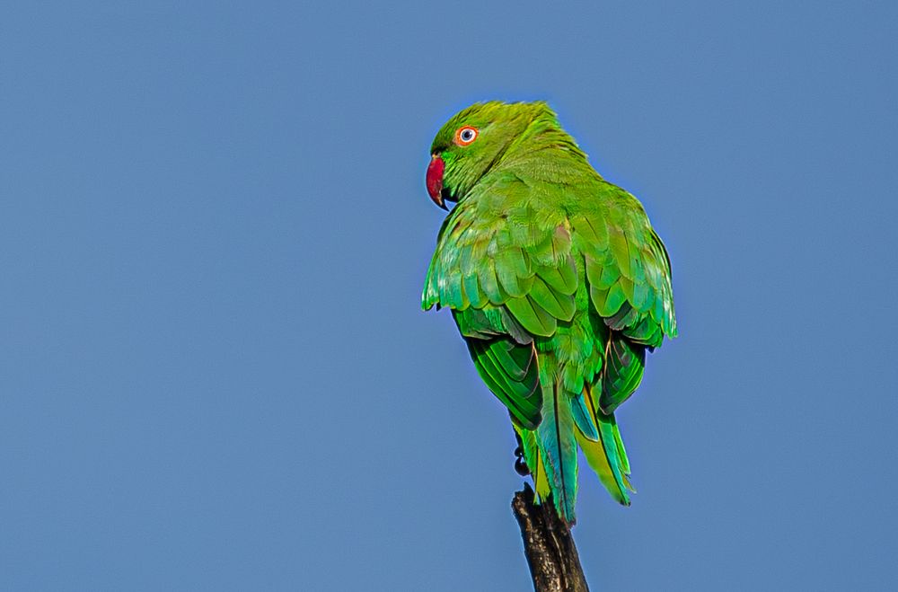 Photograph by Saliya Ambegoda