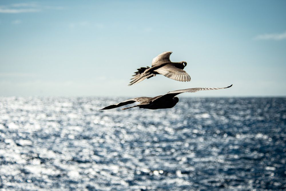 Photograph by Дмитрий Плотников