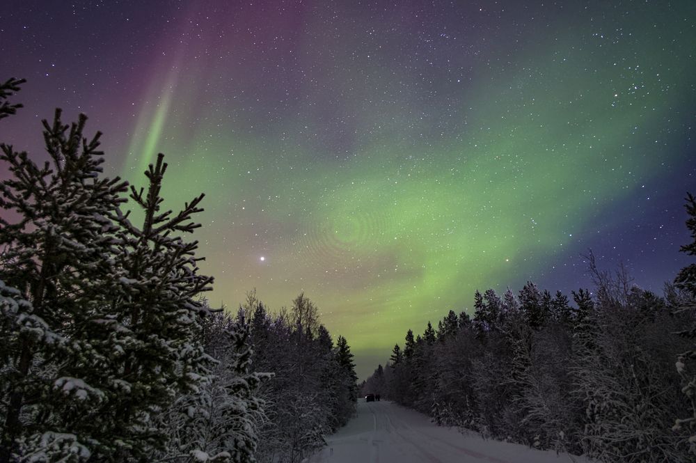 Фотография автора Шульга Александр
