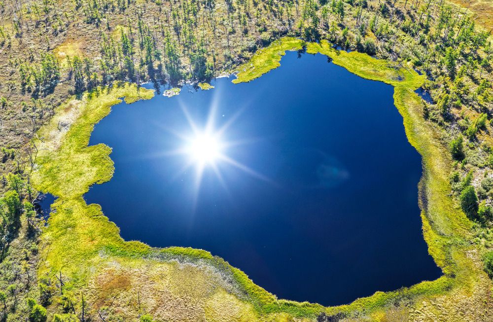 Синее сердце