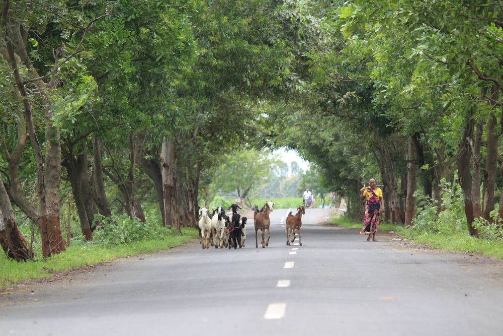 Photograph by Sharad vadoliya