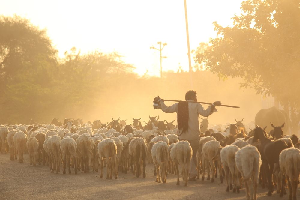 Photograph by Sharad vadoliya