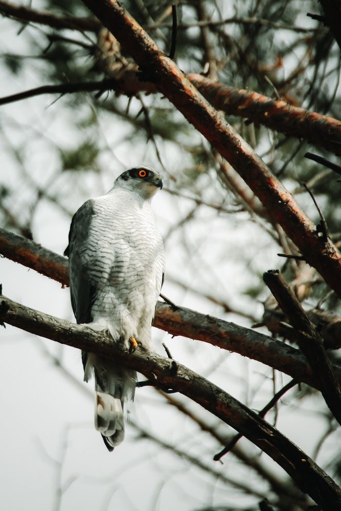 Photograph by Алексей Болотов