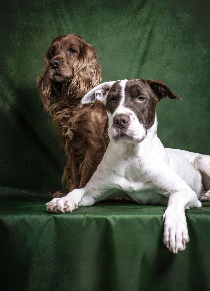 Photograph by Victoria Mogulyan