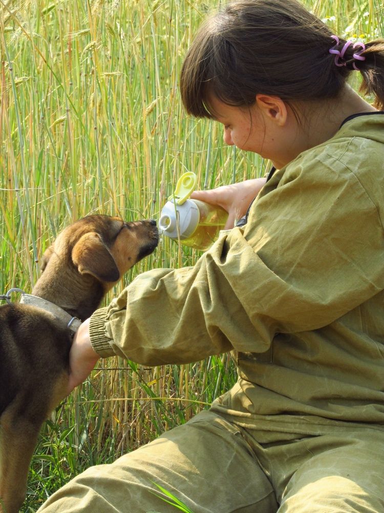 Photograph by Неля Кочурова