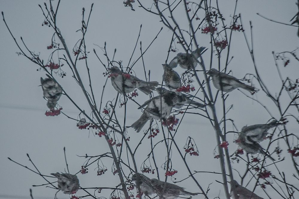 Photograph by Владислав Видилин