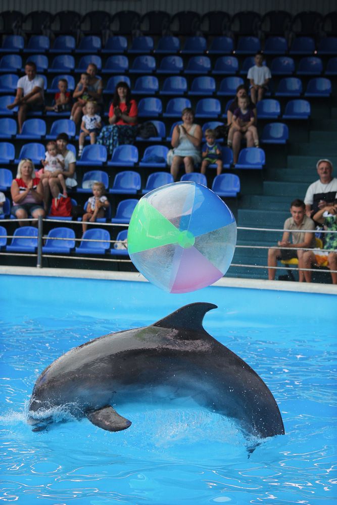 Photograph by Роман Гурененко