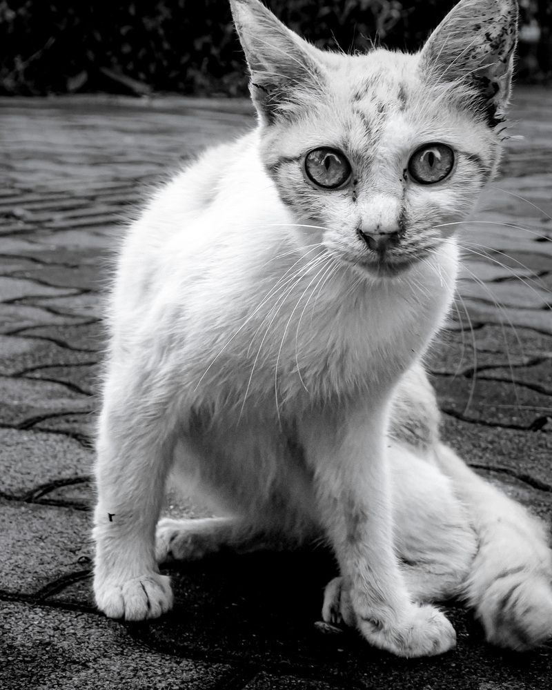 Photograph by y tanco