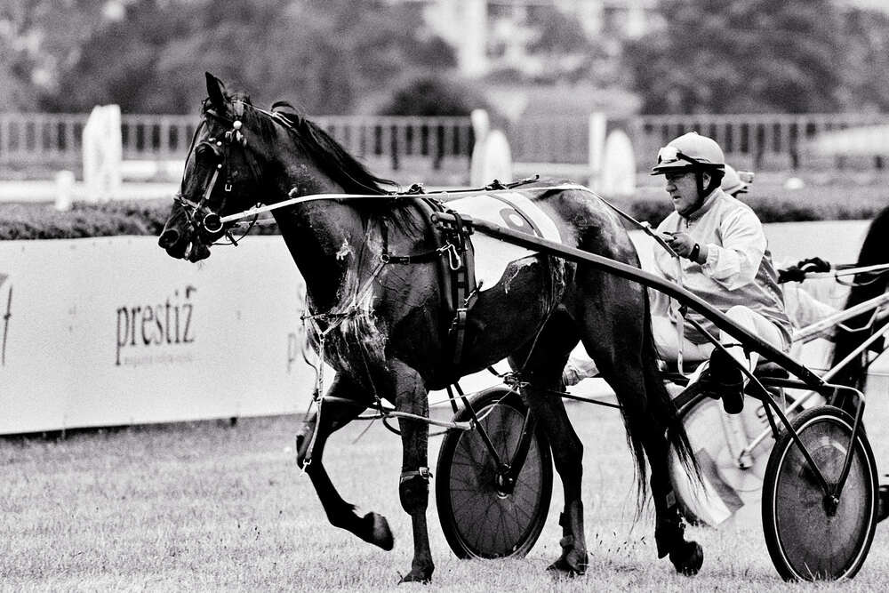 Photograph by Valentin Korotky-Adamenko