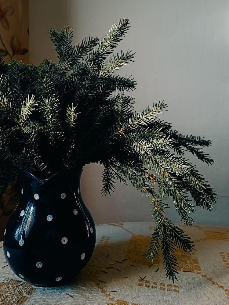 Photograph by Ирина Романовская