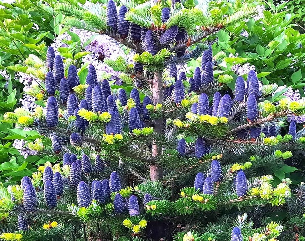 Photograph by Владимир Малёшин