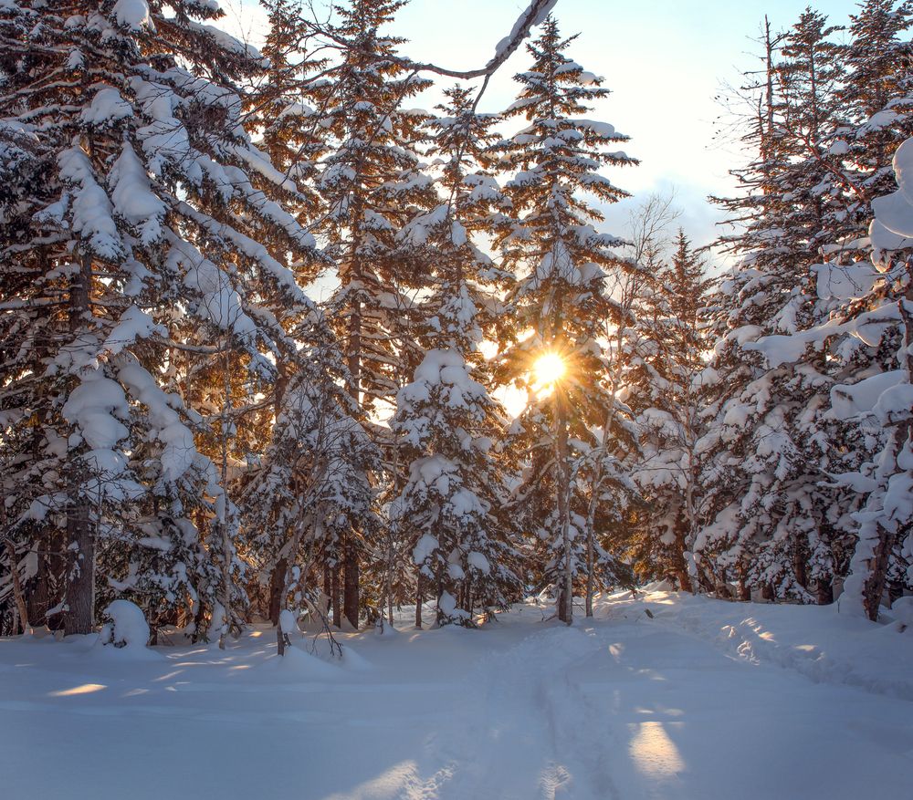 Photograph by Артем Удодов