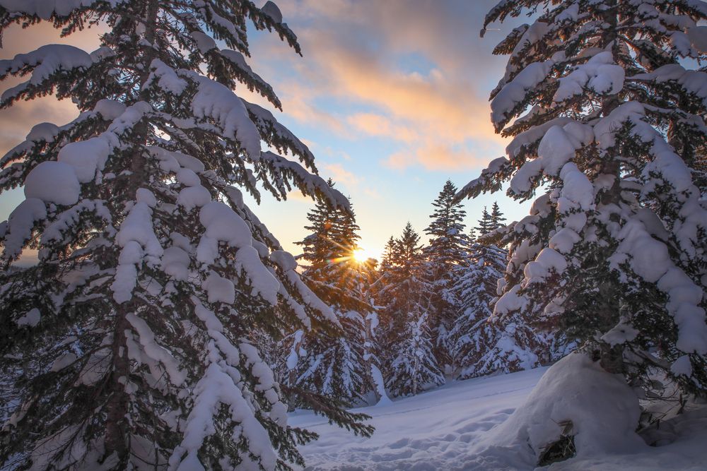 Прощание с солнцем