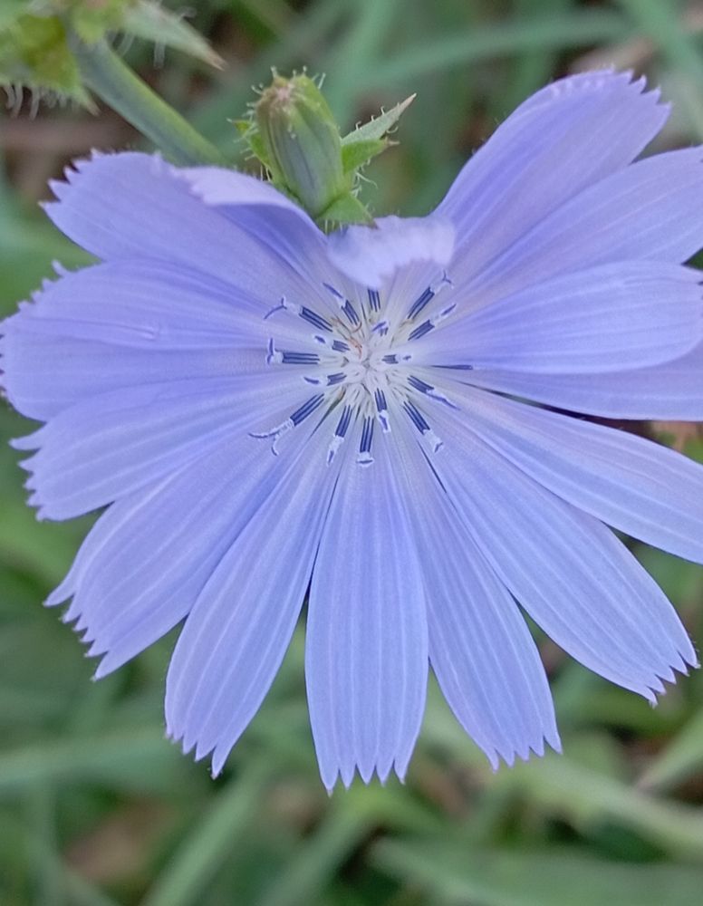 Photograph by Елена Коробченко