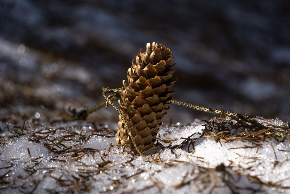 Photograph by Хабаров Сергей