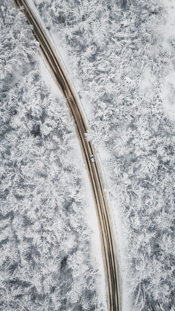 Фотография автора Храмов Роман