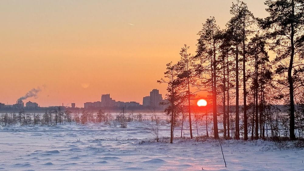 Закат над Сестрорецким болотом