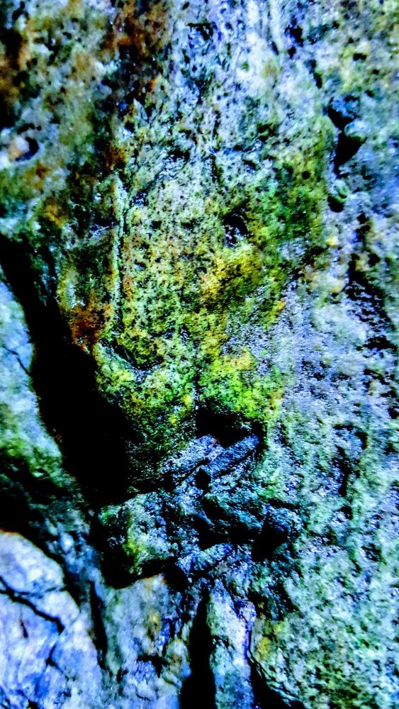 Photograph by María Claudia Salcedo