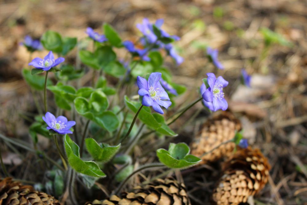 Фотография автора Татьяна Сычёва