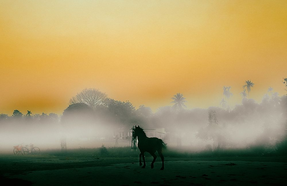 Gallop of the Tricolour Dawn