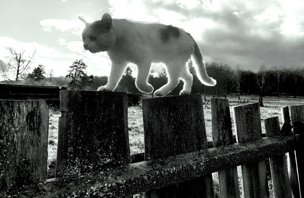 Photograph by Назмутдинова Сауия