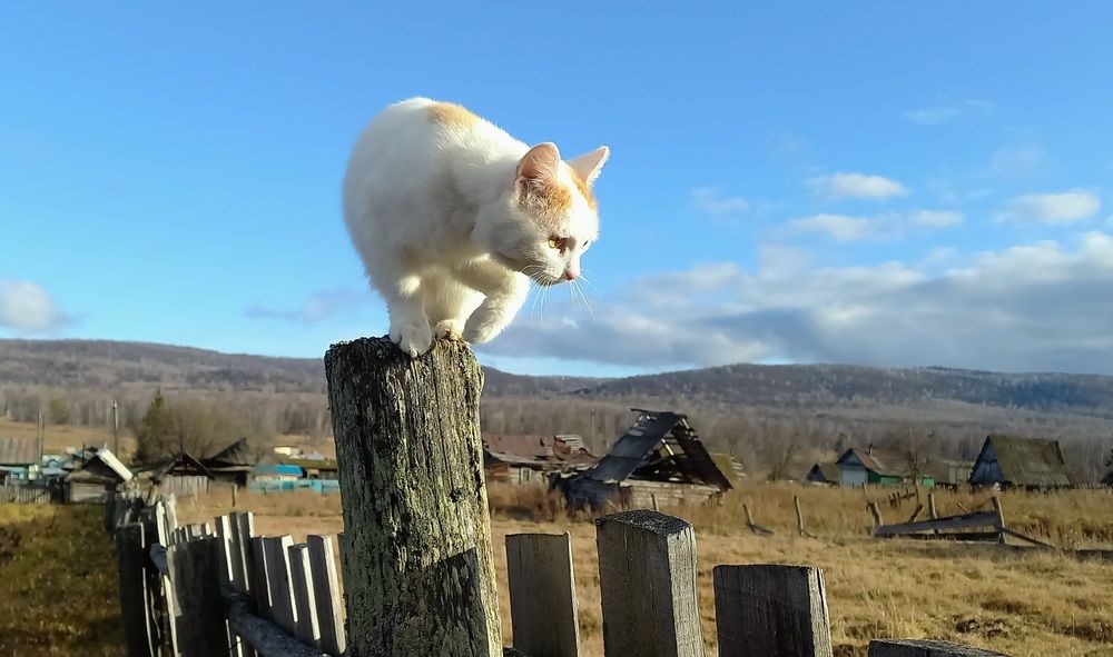 Photograph by Назмутдинова Сауия