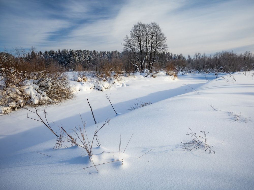 Фотография автора Панагушин Сергей