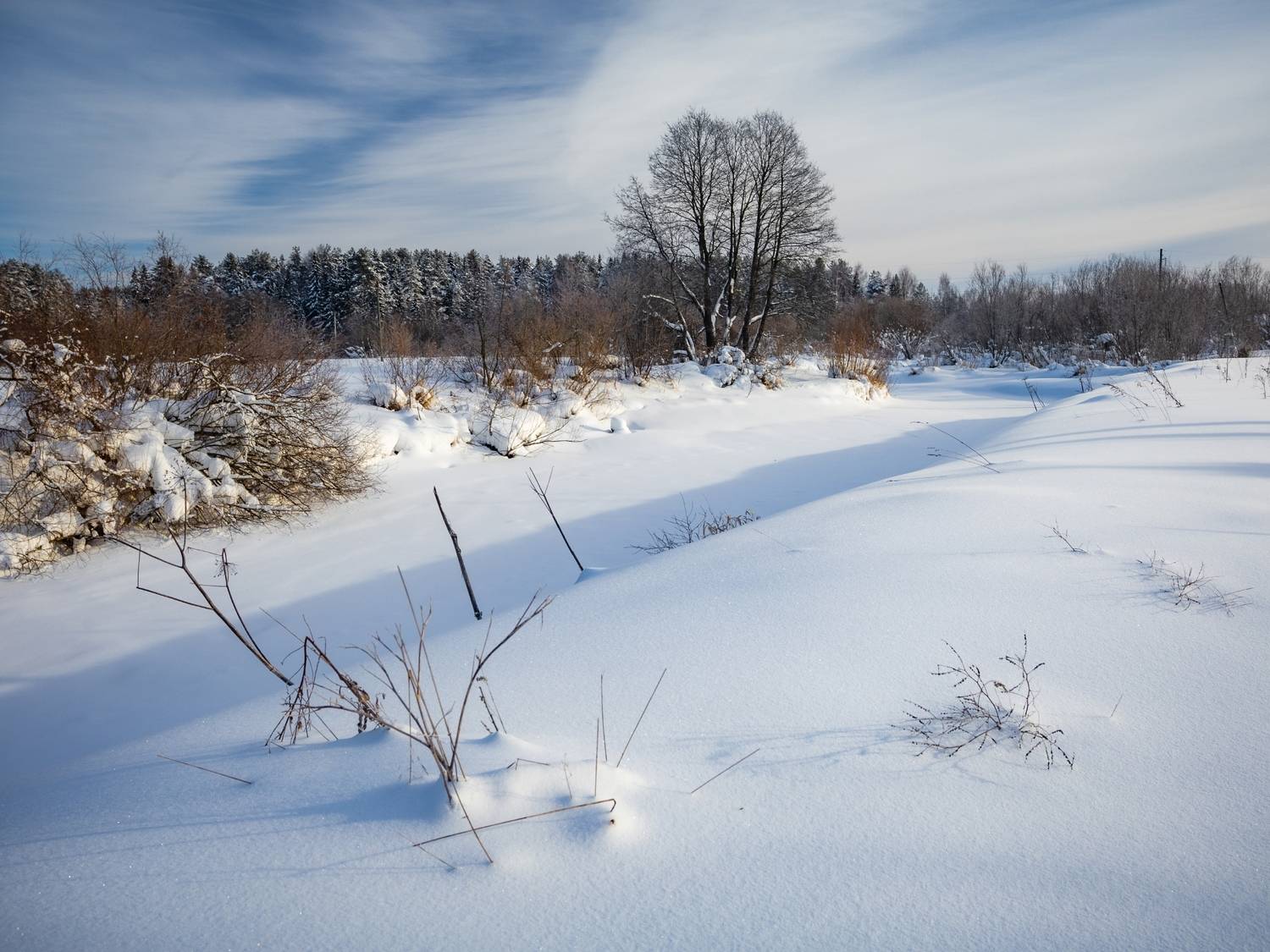 Фотография #13206003