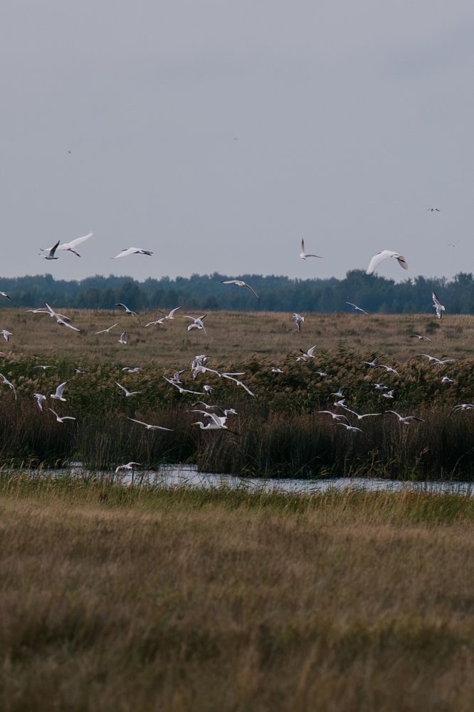 Photograph by Егор Ивлев