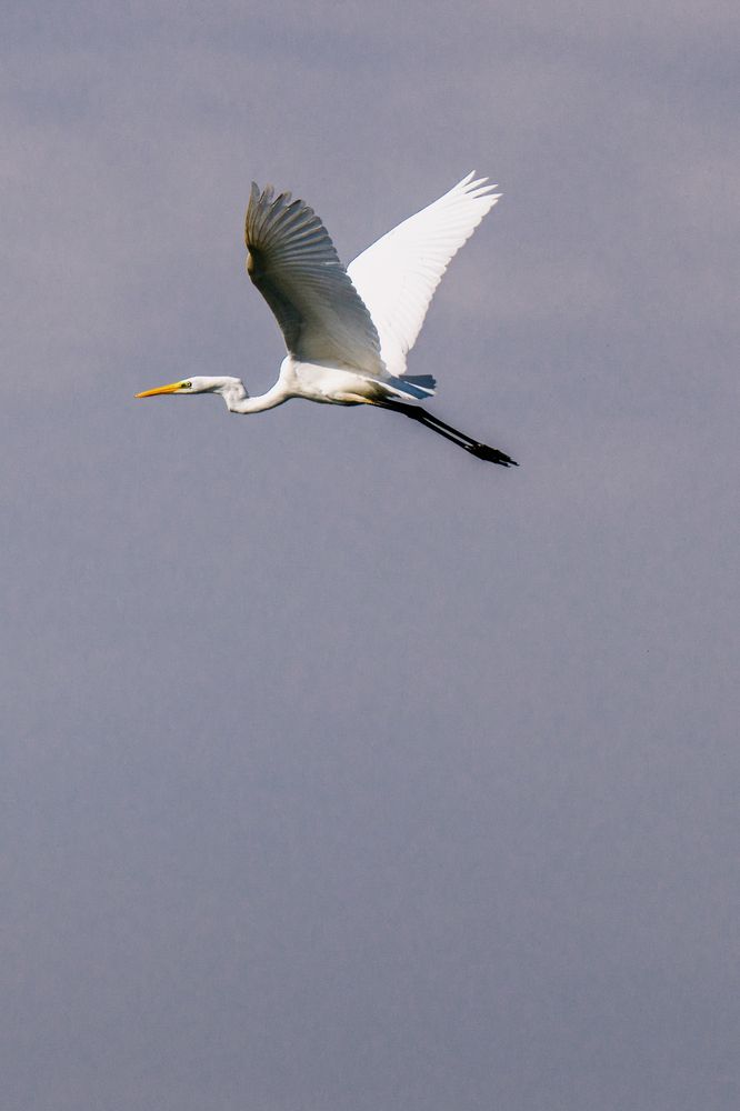 Photograph by Егор Ивлев