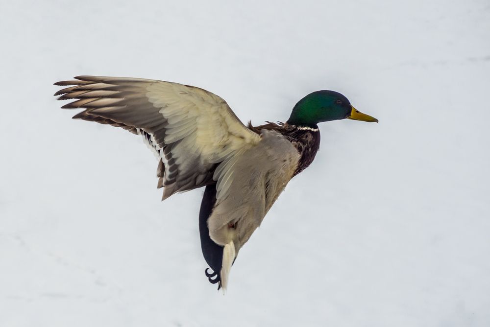 Photograph by Екатерина Ковалева