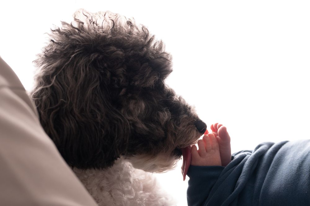 Photograph by Татьяна Тарасенко