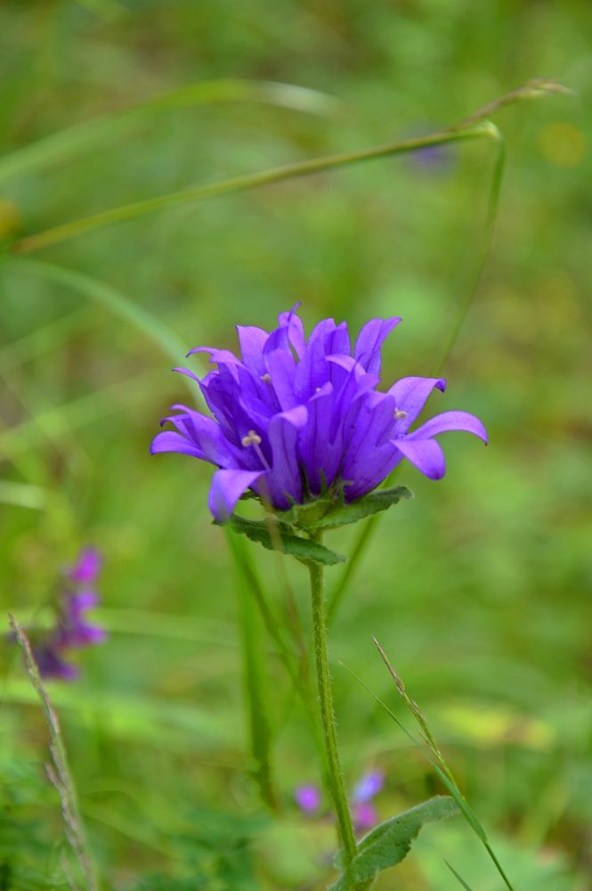 Photograph by Ольга Шевцова