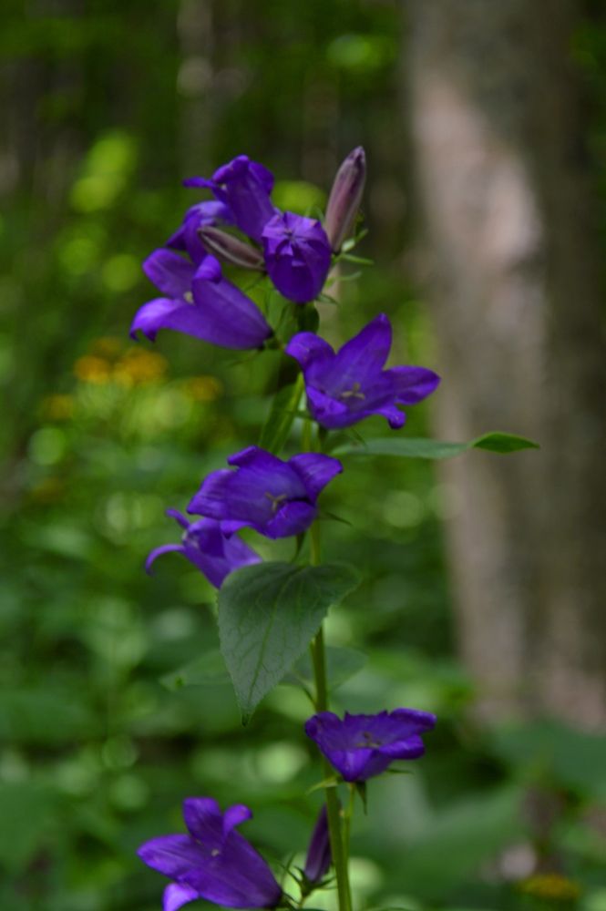 Photograph by Ольга Шевцова