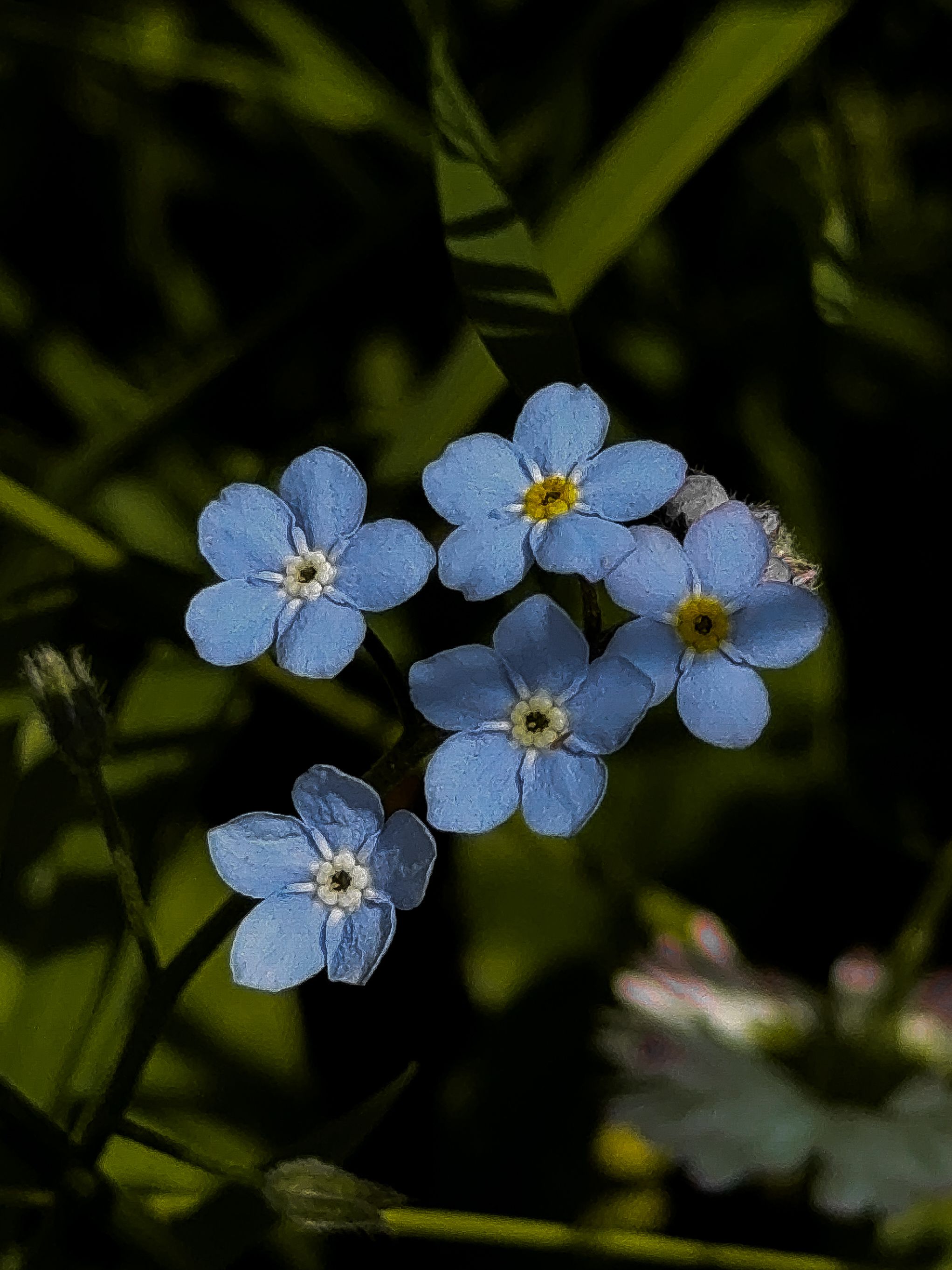 Фотография автора Анна Балабан