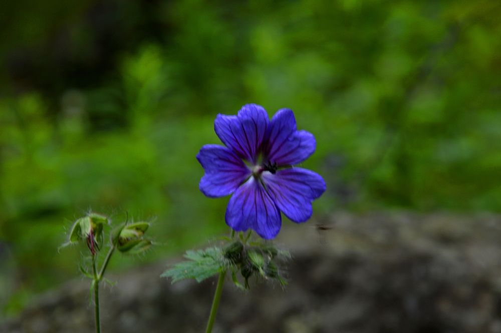 Photograph by Ольга Шевцова