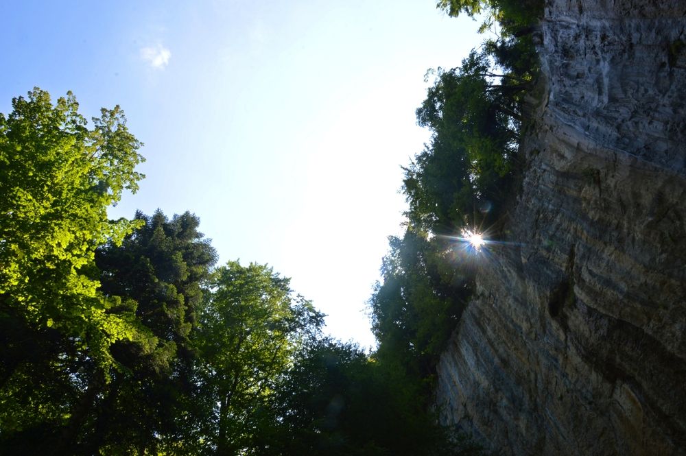 Photograph by Ольга Шевцова