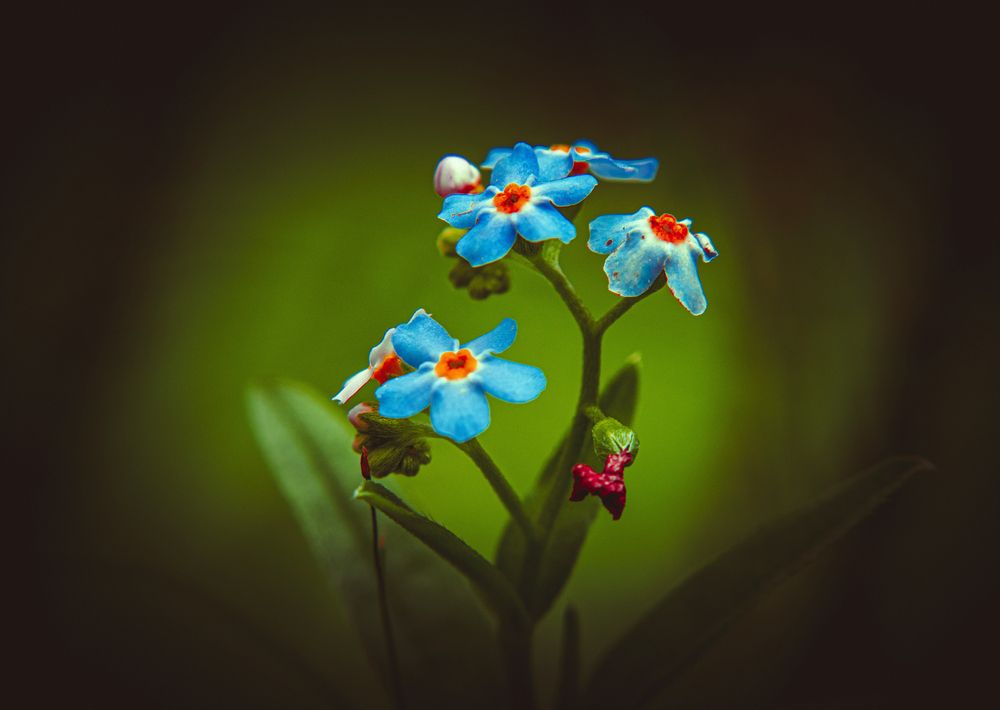 Photograph by Викулов Сергей