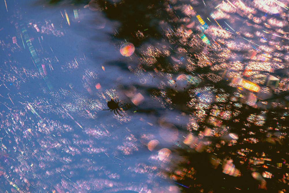 Photograph by Виктор Саврей