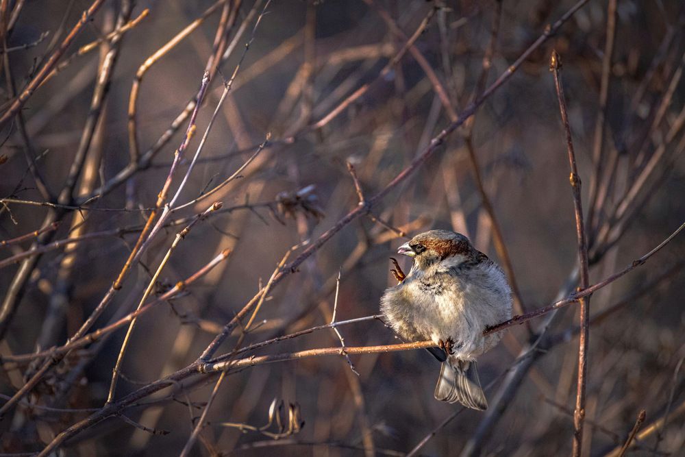 Photograph by Антон Дроздов