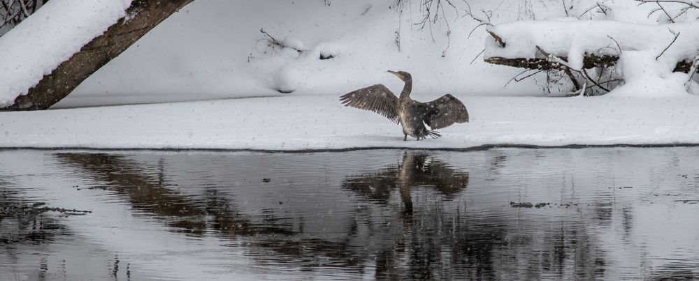 Photograph by Викулов Сергей