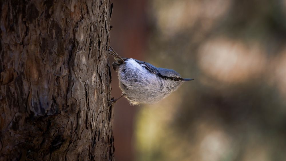 Photograph by Антон Дроздов