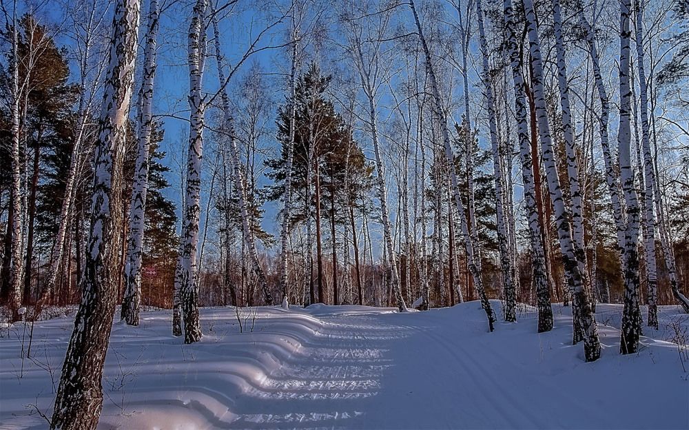 Photograph by Пушкин Сергей