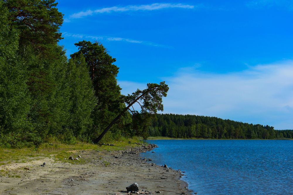 Фотография автора Катрин Евстратова