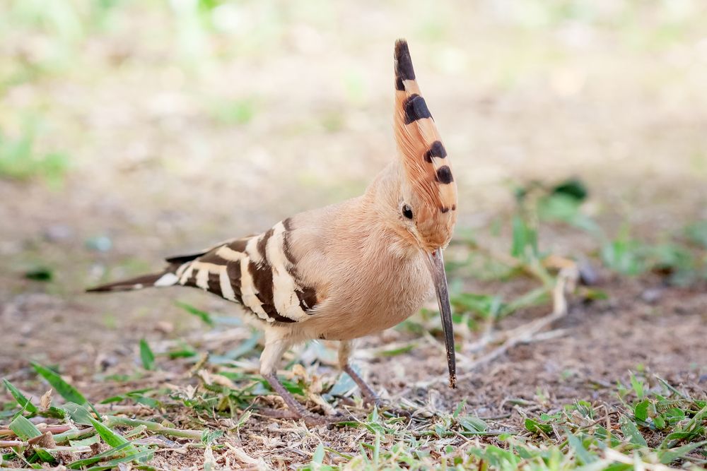 Photograph by Зоя Эль