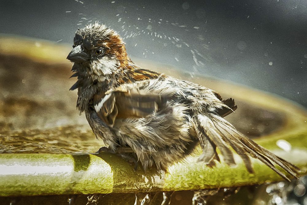 Photograph by Сергей Черных