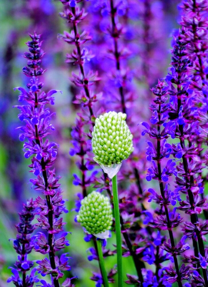 Photograph by Михаил Обертаев