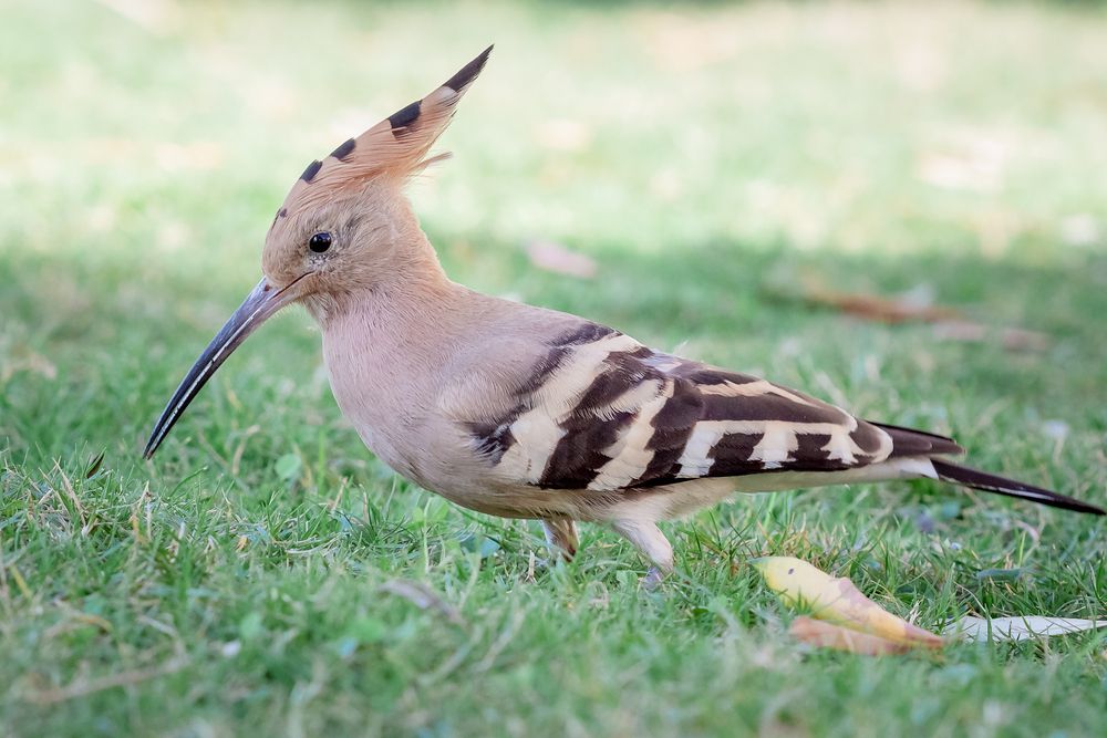 Photograph by Зоя Эль