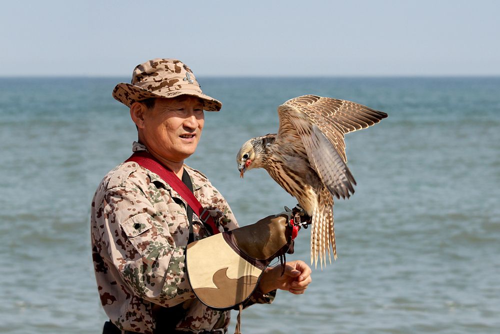 Photograph by Шруб (Беляева) Татьяна